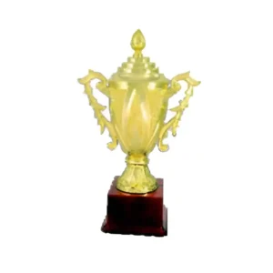 BT 001 Cap Premium Golden Trophy | Bhawani Traders